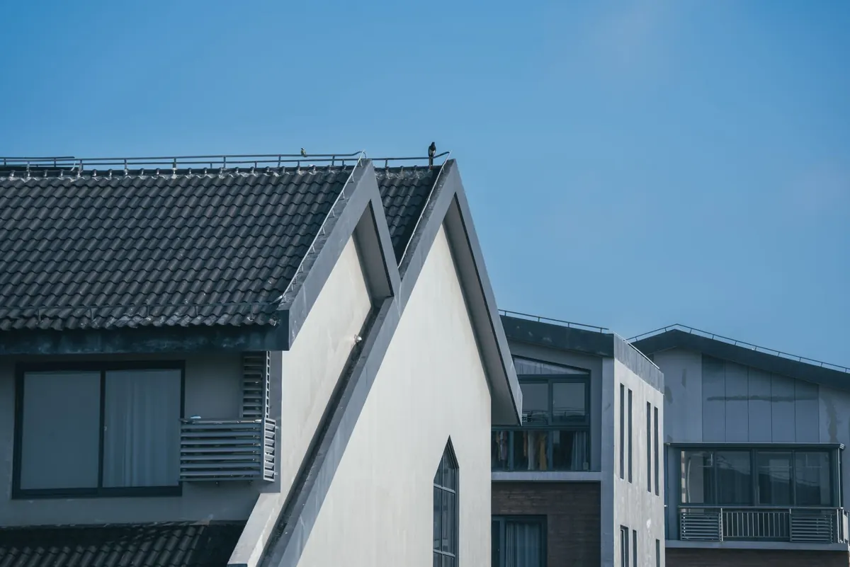 Flat Roof vs Pitched Roof: Which Is Right for Your Home?